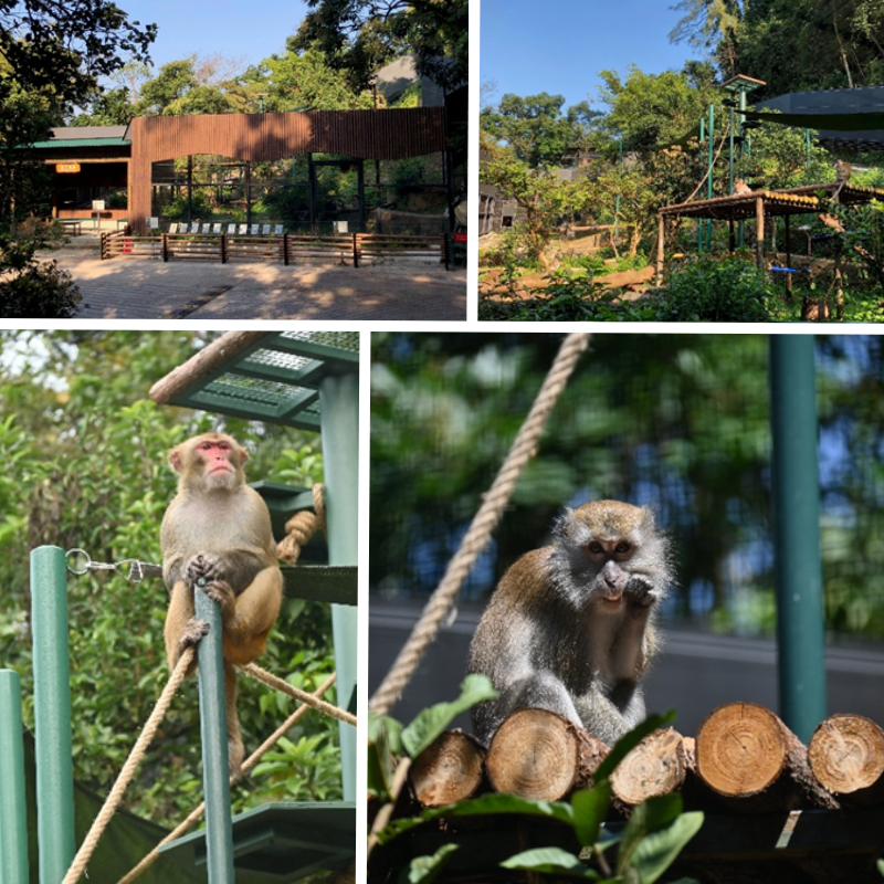 猴子樂園嘉道理農場暨植物園